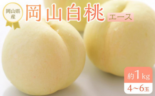 岡山県産 桃 岡山白桃 2025年 先行予約 エース 約1kg（4～6玉）もも モモ フルーツ 果物 ギフト