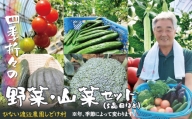 四季折々の野菜・山菜セット（5品目ほど） 45P3203