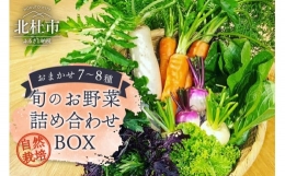 【ふるさと納税】八ヶ岳ピースファーム 旬のお野菜詰め合わせBOX 自然栽培