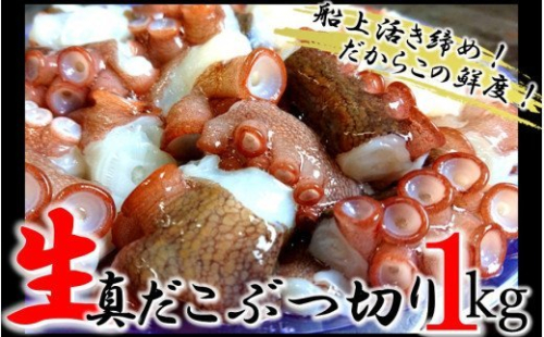 船上活き締め！生真だこぶつ切1kg（200g×5P）_1811R 130373 - 大分県国東市