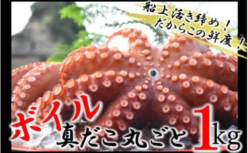 船上活き締め！ゆでたこ丸ごと約1kg（約1～４杯）_1812R 130377 - 大分県国東市