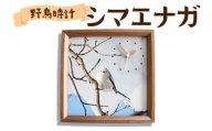 野鳥時計【シマエナガ】【G13105】