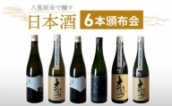 【全６回】八重原米で醸す日本酒６本頒布会（金紋錦・ひとごこち）|太陽と大地 大信州酒造