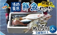 【朝獲り】漁師厳選 鮮魚セット (小) 3種類以上 約1.5kg