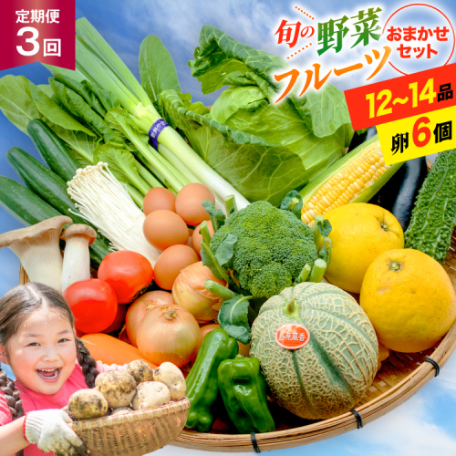 BF057 【3回定期便】旬の野菜・フルーツ (12〜14品目)・卵 (6個) おまかせ セット【 野菜 果物 卵 やさい くだもの 果物 タマゴ たまご 詰め合わせ 江戸屋 長崎県 島原市 】 130442 - 長崎県島原市
