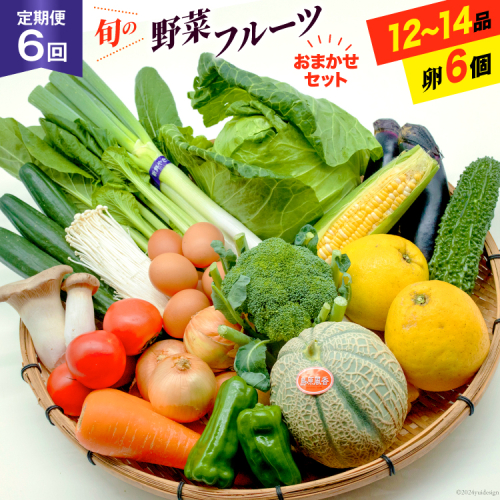 BF058 【6回定期便】旬の野菜・フルーツ (12〜14品目)・卵 (6個) おまかせ セット【 野菜 果物 卵 やさい くだもの 果物 タマゴ たまご 詰め合わせ 江戸屋 長崎県 島原市 】 130443 - 長崎県島原市