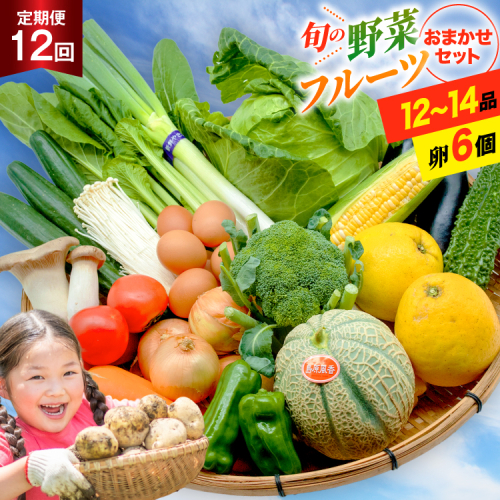 BF059 【12回定期便】旬の野菜・フルーツ (12〜14品目)・卵 (6個) おまかせ セット【 野菜 果物 卵 やさい くだもの 果物 タマゴ たまご 詰め合わせ 江戸屋 長崎県 島原市 】 130444 - 長崎県島原市
