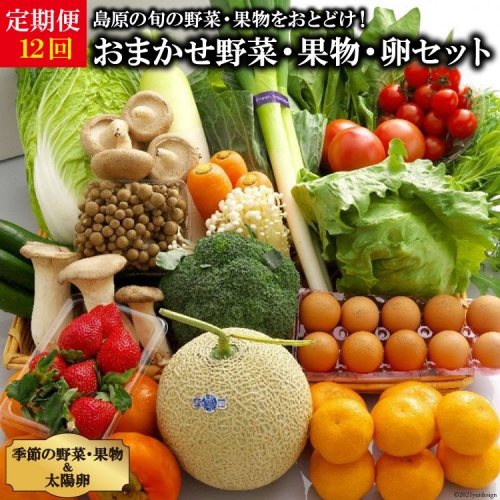 AF059【定期便】【年12回】島原の旬の野菜・果物！おまかせ野菜・果物・卵セット