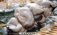 秀栄水産 瀬戸内の 牡蠣 （むき身 500g×3） 海の幸 海のミルク 海鮮 貝 岡山県 瀬戸内市 虫明湾