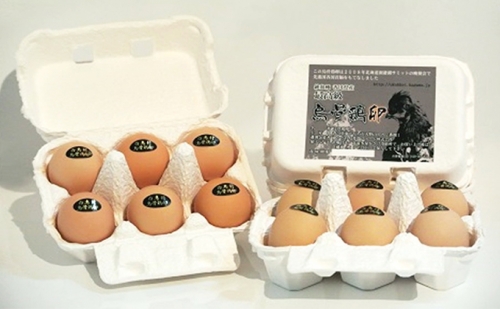 いつまでも若々しく！栄養たっぷり！烏骨鶏卵6個入×3パック 13051 - 香川県東かがわ市