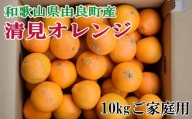 【訳あり・ご家庭用】和歌山由良町産の濃厚清見オレンジ約10kg　※2025年2月中旬～2025年2月下旬頃に発送予定（お届け日指定不可）/ 果物 くだもの フルーツ みかん