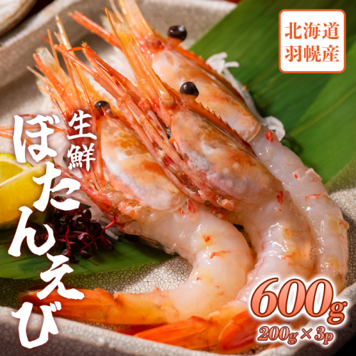 超速リキッド凍結でドリップゼロ！北海道羽幌産生鮮ぼたんえび 600g（200g×3パック）【0311801】 1305467 - 北海道羽幌町