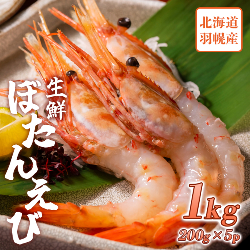 超速リキッド凍結でドリップゼロ！北海道羽幌産生鮮ぼたんえび 1kg（200g×5パック）【0311901】 1305473 - 北海道羽幌町