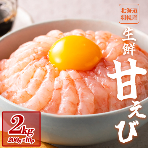 【おまとめ配送】超速リキッド凍結でドリップゼロ！北海道羽幌産生鮮甘えび2kg（200g×10パック）【0312001】 1305508 - 北海道羽幌町