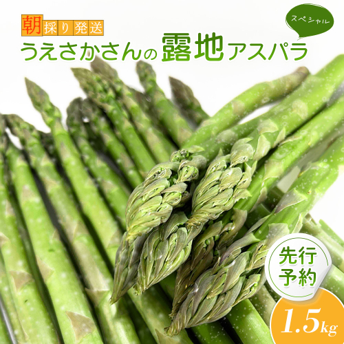 【2025年 先行予約！】【朝採り発送】うえさかさんの露地アスパラ スペシャル 1.5kg【20101】 1305543 - 北海道羽幌町