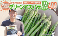 数量限定 先行予約 アスパラガス LM 400g【2月〜6月お届け】｜朝採り 朝採れ 直送 グリーンアスパラガス アスパラ BT12