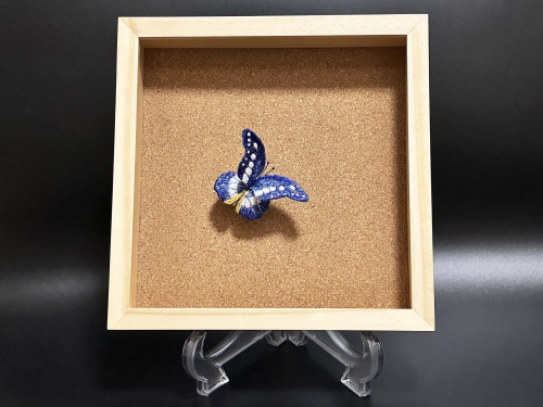 立体刺繍の蝶（ヘレナモルフォ蝶） 1305855 - 千葉県船橋市