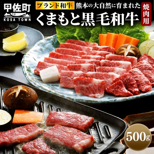 くまもと黒毛和牛焼肉用500g 1305876 - 熊本県甲佐町