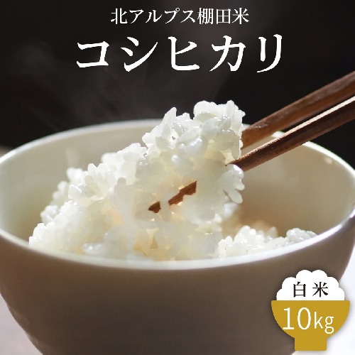 令和8年産 北アルプス棚田米 コシヒカリ 白米10kg ※2026年10月～発送｜棚田米 お米 こしひかり こめ コメ 精米 おこめ もちもち 冷めても 美味しい 高品質 富山 魚津 1305950 - 富山県魚津市