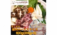 にいかわジビエ　猪肉ローススライス600g [No.5617-0624]