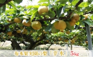 布本果実園の梨「幸水」5kg 