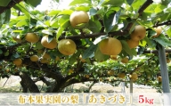 布本果実園の梨「あきづき」5kg 