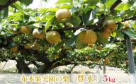 [早期予約]布本果実園の梨「豊水」5kg 