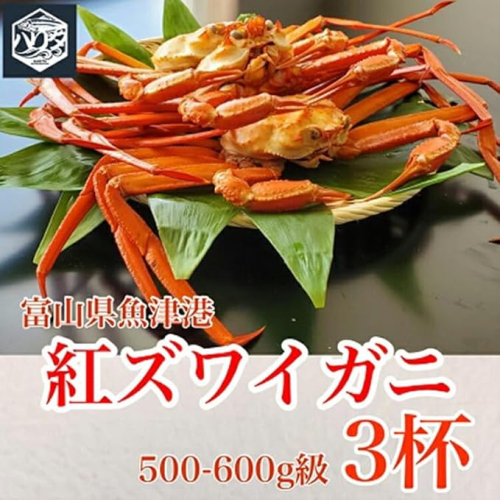 【冷蔵・ボイル済】魚卸問屋のベニズワイガニ 500～600g 3杯 セット【三人前】｜はりたや 魚貝類 魚介類 海鮮 蟹 カニ かに 紅ズワイガニ ずわい蟹 濃厚かにみそ 蟹しゃぶ 蟹飯 人気 豪華 お取り寄せ 北陸 富山県 富山湾 魚津市 送料無料 ※2025年9月下旬～2026年5月下旬頃に順次発送予定 ※北海道・沖縄・離島への配送不可 1306099 - 富山県魚津市