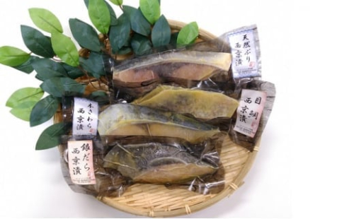 【冷凍・小分け】西京漬け4種セット（ブリ・サワラ・メダイ・銀ダラ 各1切）｜魚貝類 漬魚 味噌漬け 西京漬け 加工食品 ※北海道・沖縄・離島への配送不可 1306284 - 富山県魚津市