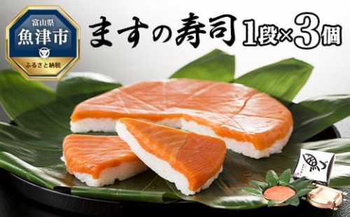 ますの寿司 1段3個 鱒ずし 鱒寿司 ます寿司 1306289 - 富山県魚津市