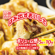 ジャンボ餃子5粒入りタレ付10個セット|惣菜 おかず 石川製麺 ※北海道・沖縄・離島への配送不可