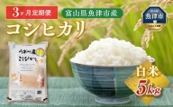 5kg×3ヶ月定期便　富山県うおづ産米コシヒカリ 白米 富山米