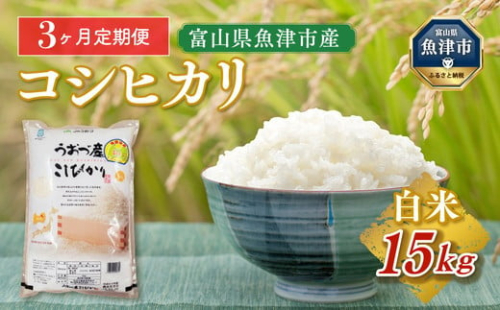 【令和6年度米】【定期便】15kg（5kg×3袋）×3ヶ月定期便　富山県うおづ産米コシヒカリ  ※2024年10月中旬頃より順次発送予定 ※北海道、沖縄、離島配送不可 1306362 - 富山県魚津市