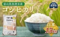 富山県うおづ産コシヒカリ　15kg（5kg×3袋）白米　富山米