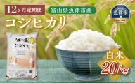 20kg（5kg×4袋）×12ヶ月定期便　富山県うおづ産米コシヒカリ 白米　富山米
