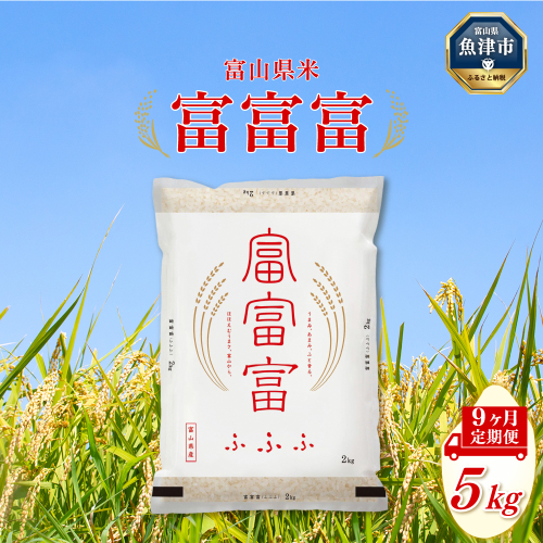 【令和7年度米】【9ヶ月定期便】富山県産米「富富富」5kg（精米）｜9ヶ月定期便 9回 9ヶ月 富富富 ふふふ こめ コメ お米 おこめ 白米 精米 ブランド米 雪解け水 冷めても 美味しい おにぎり お弁当 高品質 魚津市 ※北海道・沖縄・離島への配送不可 1306374 - 富山県魚津市