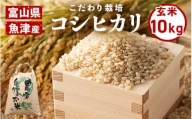【玄米】富山県魚津産コシヒカリ（こだわり栽培）10kg