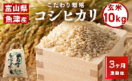3ヶ月定期便【玄米】富山県魚津産コシヒカリ(こだわり栽培)10kg
