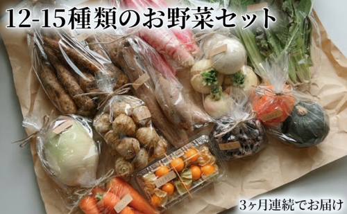 野菜の定期便 てのひら小諸 12～15種類 3ヶ月連続お届け 1306818 - 長野県小諸市