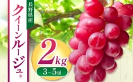 クイーンルージュ® 2kg (3～5房）| 先行 予約 ぶどう 葡萄 希少 品種  赤系 ブドウ 種無し フルーツ 特産品 千曲市 長野県 人気 くだもの おやつ  ながの ちくま