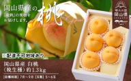 岡山県産 白桃（晩生種）約1.3kg(5～6玉)【配達不可：離島】