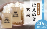 ＜令和6年産＞ 鮭川村 はえぬき 【玄米】 20kg （10kg×2袋）＜配送時期選べます＞