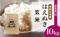 ＜令和6年産＞ 鮭川村 はえぬき 【玄米】 10kg （10kg×1袋）＜配送時期選べます＞