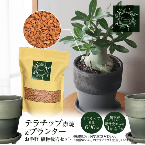 三河焼植木鉢ダークシルバー【テラチップ赤焼】プランター お手軽植物栽培セット 園芸 粘土 鉢 植物 土 シルバー 銀 赤 H188-002 1307951 - 愛知県碧南市