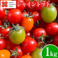 S-13 シャイントマト1kg シャイントマトファーム《1月中旬-7月中旬頃出荷予定》岡山県 笠岡市 トマト 野菜 ミニトマト