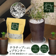 三河焼植木鉢ハーモニーブラウン【テラチップいぶし】プランター お手軽植物栽培セット 園芸 粘土 鉢 植物 土 シルバー 銀 茶 H188-003