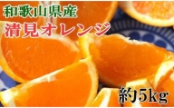 和歌山県産清見オレンジ約5kg（サイズ混合）★2025年3月中旬頃より順次発送
