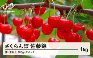 《先行予約》 山形県産 さくらんぼ 佐藤錦 バラパック詰 秀 Ｌ玉以上  1kg (500g×2) 2024年6月中旬から順次発送 果物 フルーツ nf-snbpx500x2