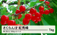 《先行予約》 山形県産 さくらんぼ 紅秀峰 バラパック詰 秀 Ｌ玉以上  1kg (500g×2) 2024年6月下旬から順次発送 果物 フルーツ nf-bsbpx500x2