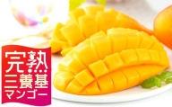 【完熟三養基マンゴー】アップルマンゴー大玉×2個 (合計約1kg)